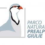 Ente parco naturale