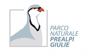 Ente parco naturale